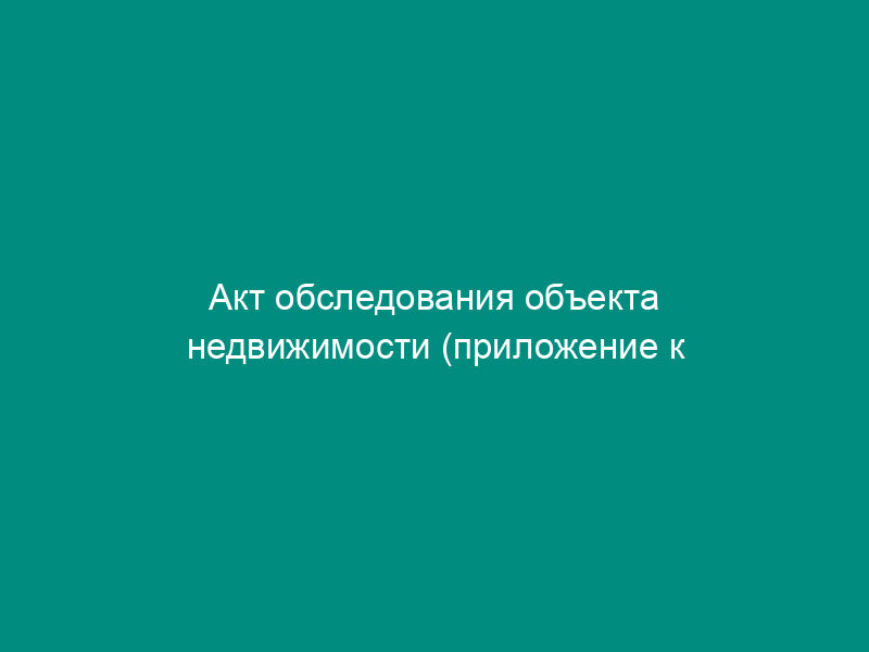 Акт обследования объекта недвижимости (приложение к договору на оказание услуг по охране недвижимого имущества)