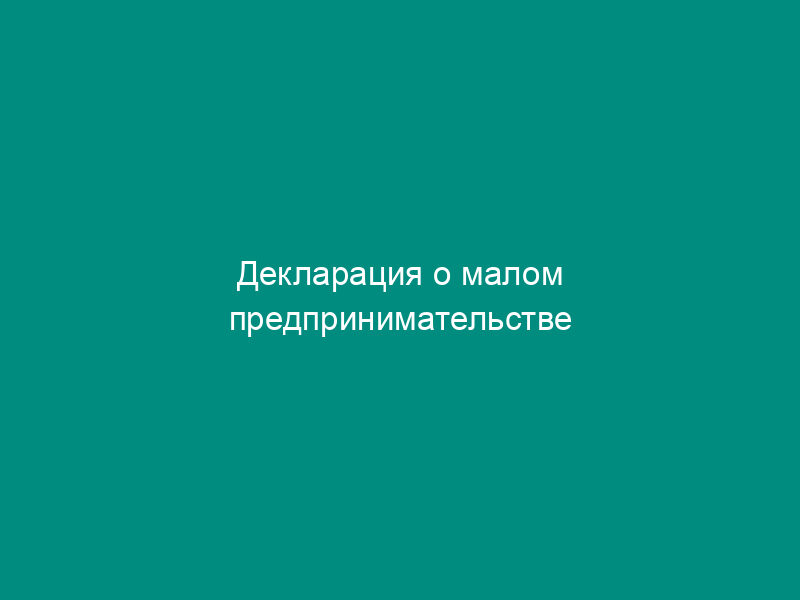 Декларация о малом предпринимательстве