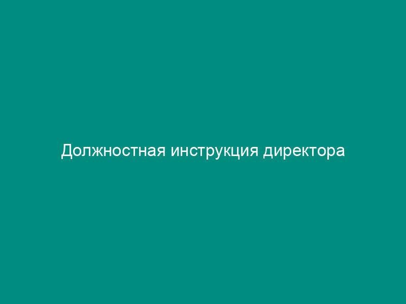 Должностная инструкция директора