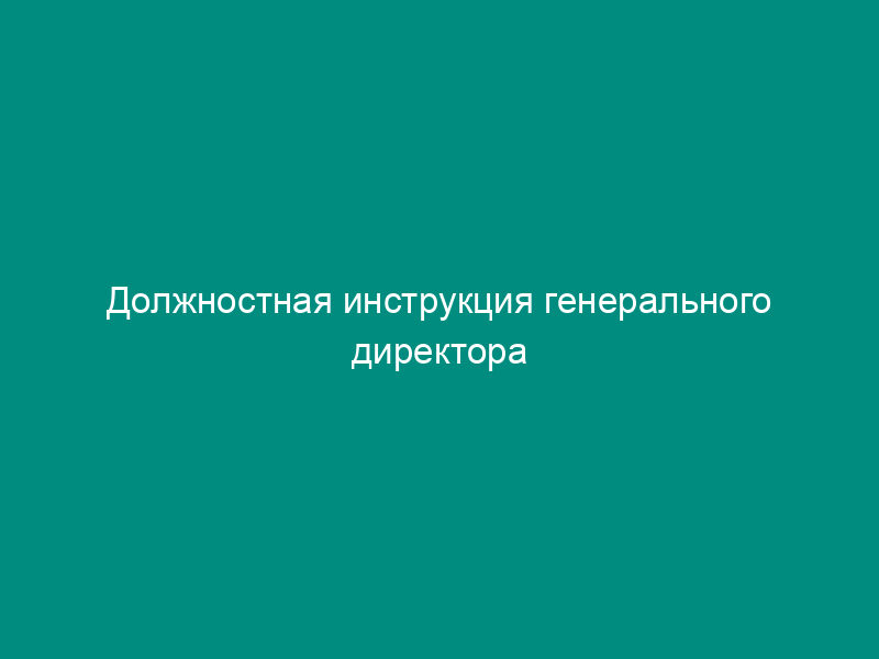 Должностная инструкция генерального директора