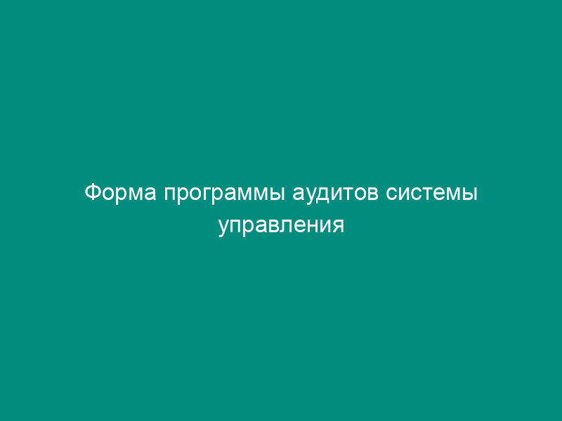 Форма программы аудитов системы управления окружающей средой на лакокрасочных предприятиях города Москвы (вариант)