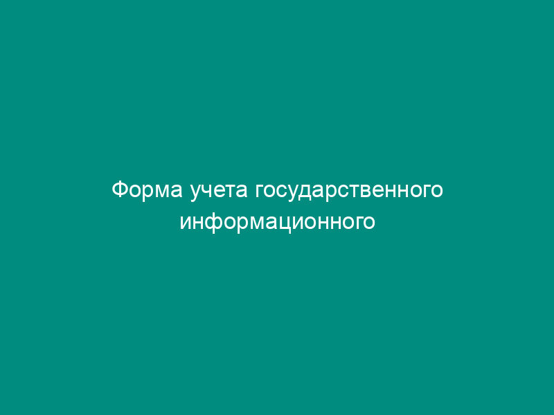 Форма учета государственного информационного ресурса. Форма N ФНС-21-01