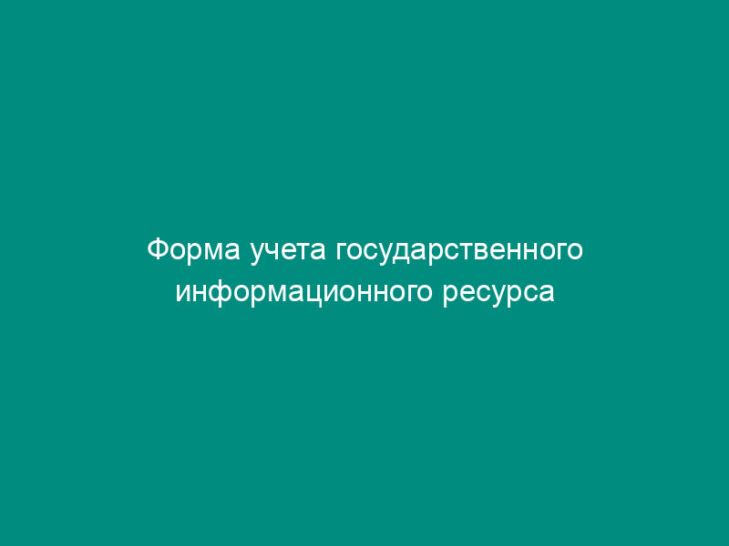 Форма учета государственного информационного ресурса