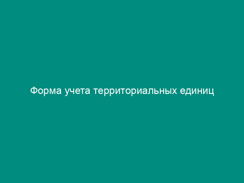 Форма учета территориальных единиц