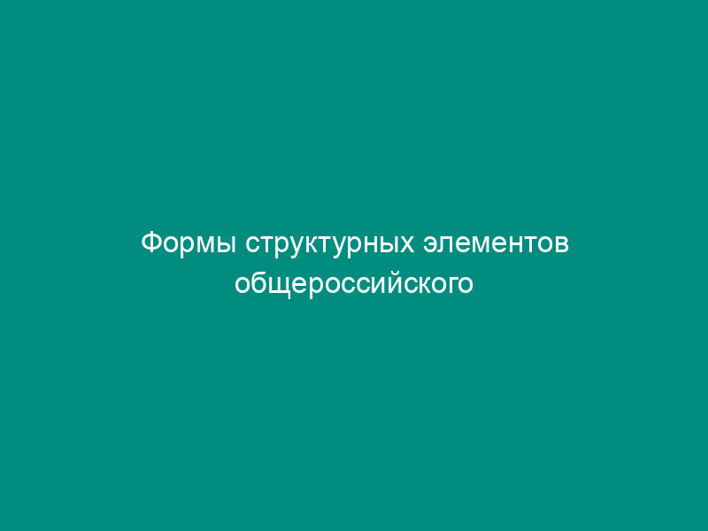 Формы структурных элементов общероссийского классификатора
