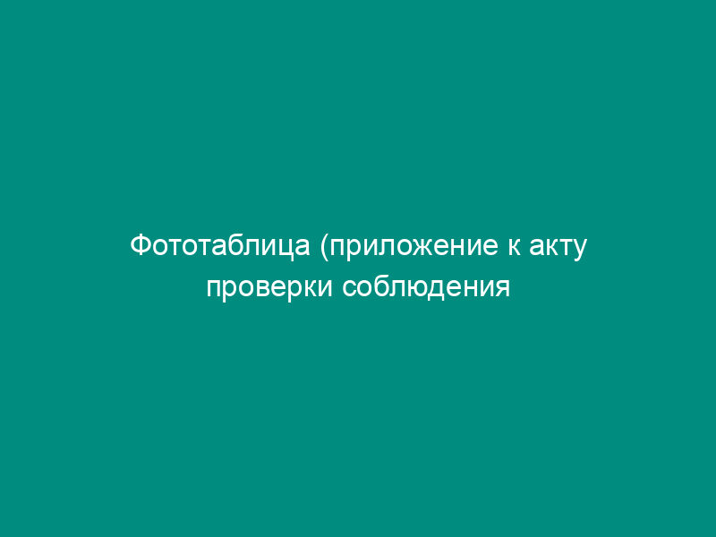 Фототаблица (приложение к акту проверки соблюдения земельного законодательства на территории Клинского муниципального района Московской области)