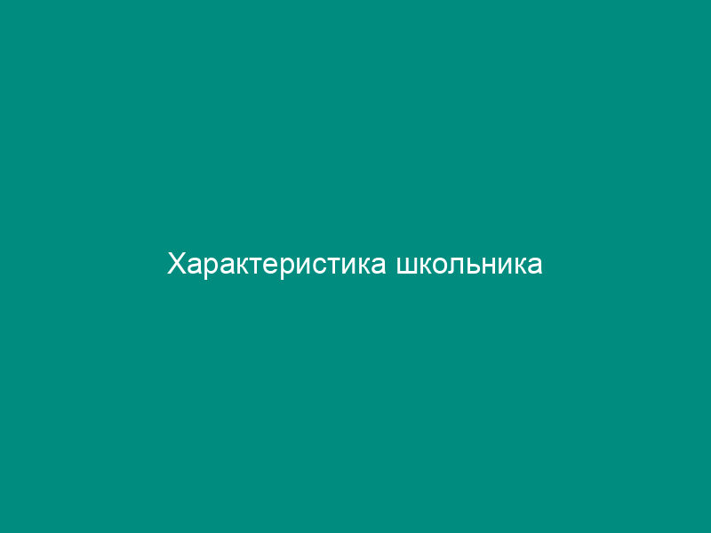 Характеристика школьника