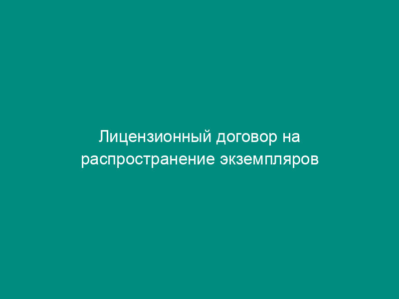Лицензионный договор на распространение экземпляров программы для ЭВМ (исключительная лицензия)