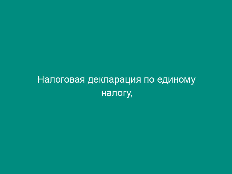 Налоговая декларация по единому налогу, уплачиваемому в связи с применением упрощенной системы налогообложения (пример заполнения)