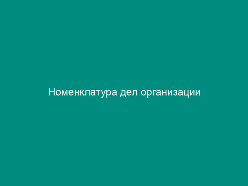 Номенклатура дел организации