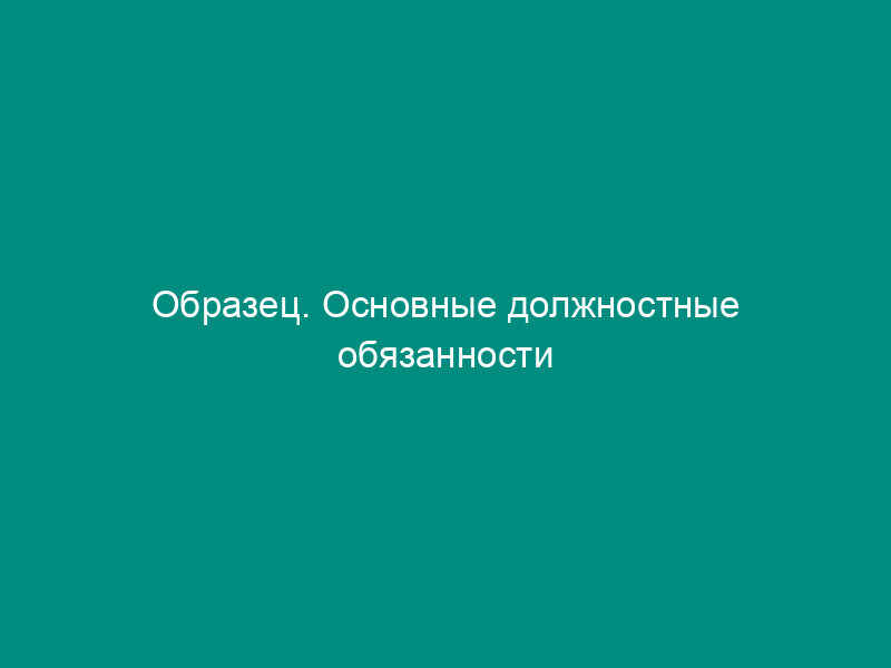 Образец. Основные должностные обязанности программиста