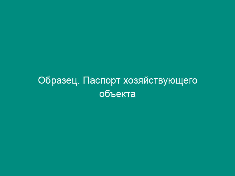 Образец. Паспорт хозяйствующего объекта