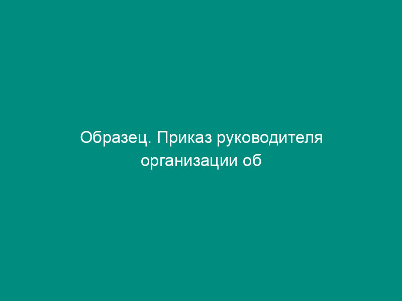 Образец. Приказ руководителя организации об индексации сумм возмещения вреда (при индексации сумм возмещения вреда)