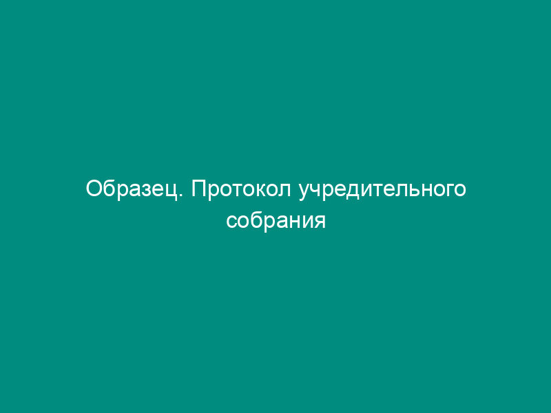 Образец. Протокол учредительного собрания некоммерческой общественной организации