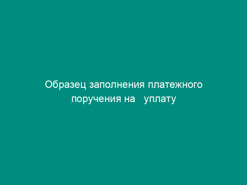 Образец заполнения платежного поручения на   уплату госпошлины если спор подлежит рассмотрению в высшем арбитражном суде   Российской Федерации