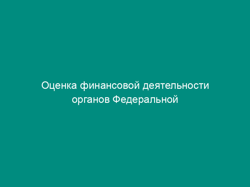 Оценка финансовой деятельности органов Федеральной службы по экологическому, технологическому и атомному надзору