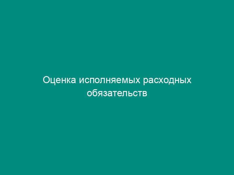 Оценка исполняемых расходных обязательств