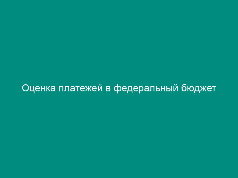 Оценка платежей в федеральный бюджет