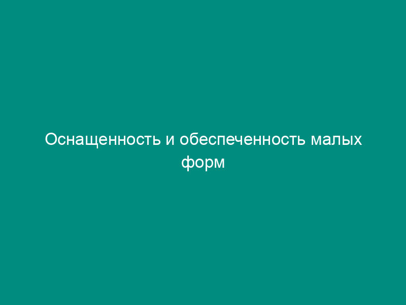 Оснащенность и обеспеченность малых форм хозяйствования кормоуборочными комбайнами (пример)