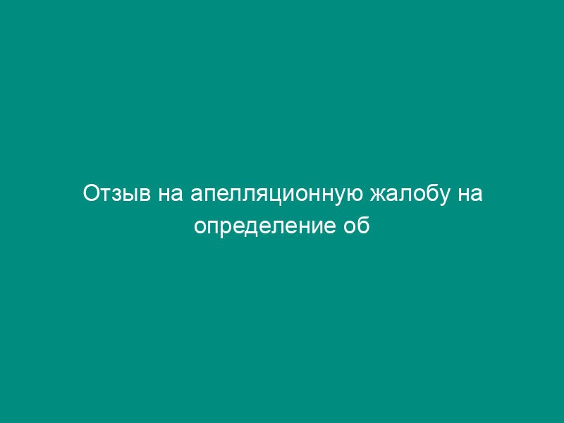 Отзыв на апелляционную жалобу на определение об обеспечении иска арбитражного суда