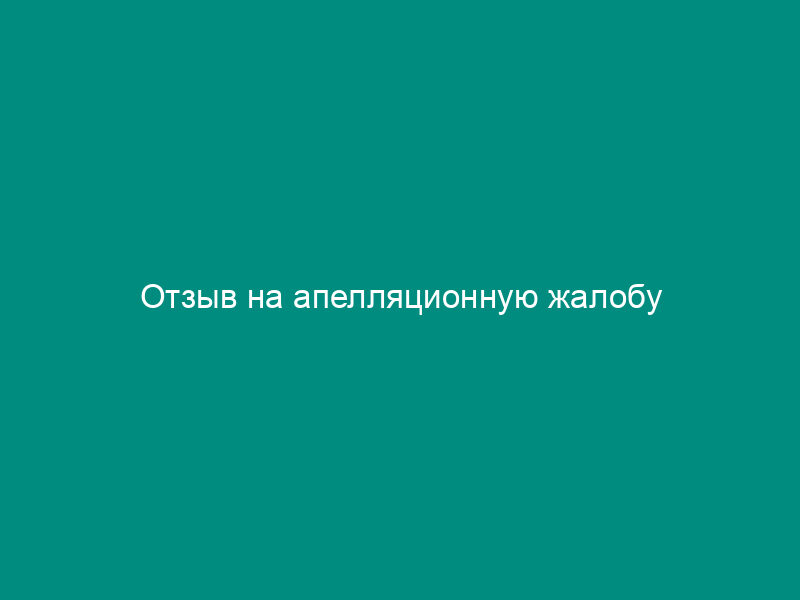 Отзыв на апелляционную жалобу