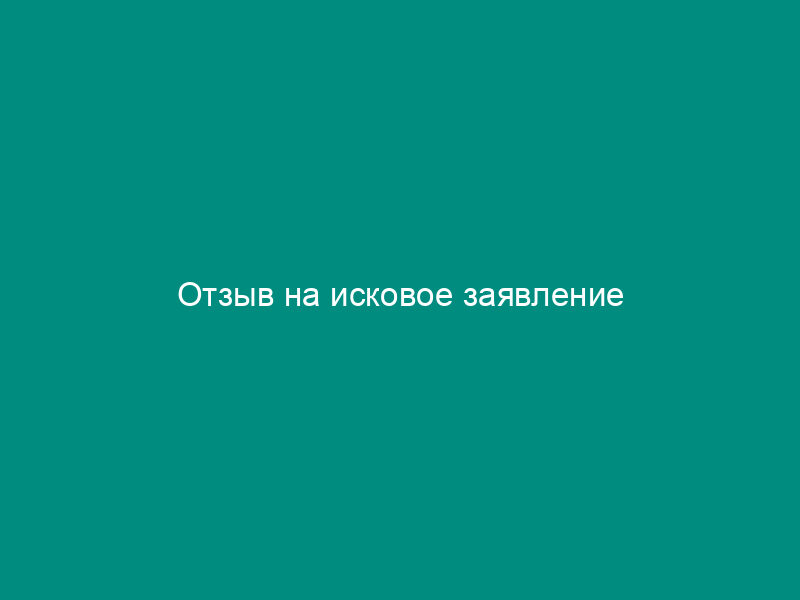 Отзыв на исковое заявление