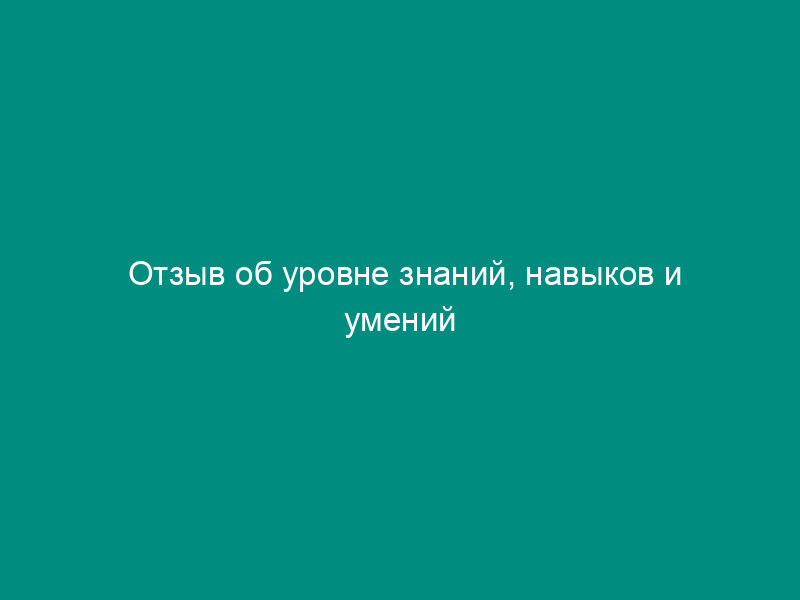 Отзыв об уровне знаний, навыков и умений (профессиональном уровне) федерального государственного гражданского служащего