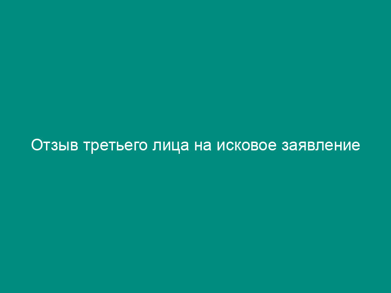 Отзыв третьего лица на исковое заявление