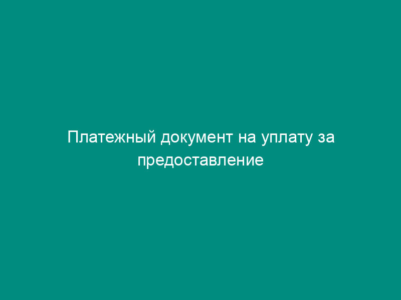 Платежный документ на уплату за предоставление информации. Форма N ПД-4
