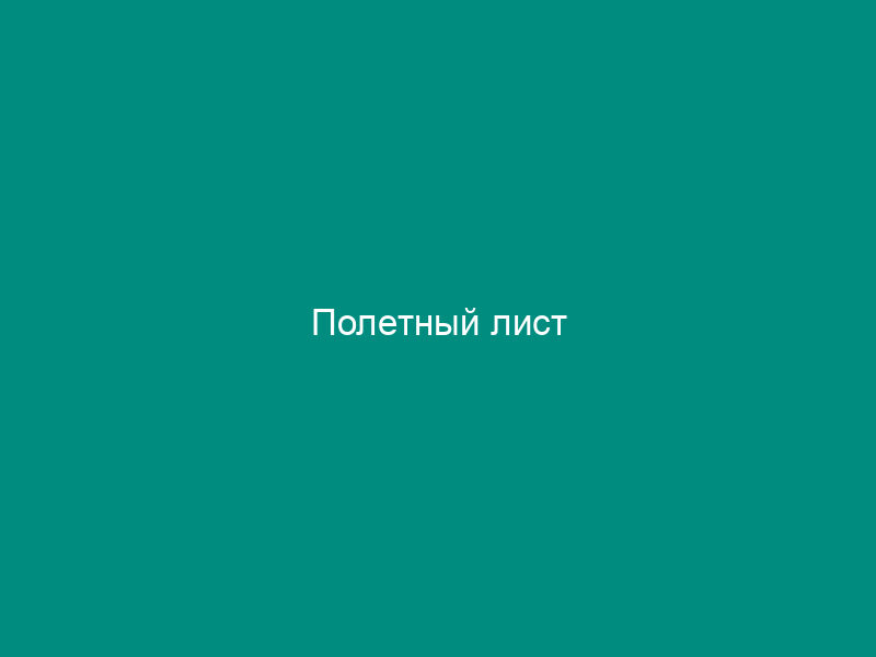 Полетный лист