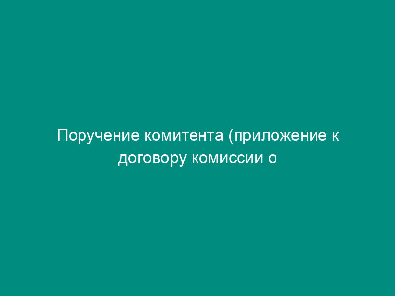 Поручение комитента (приложение к договору комиссии о реализации товара (с условием предоставления специального оборудования для продажи товара))