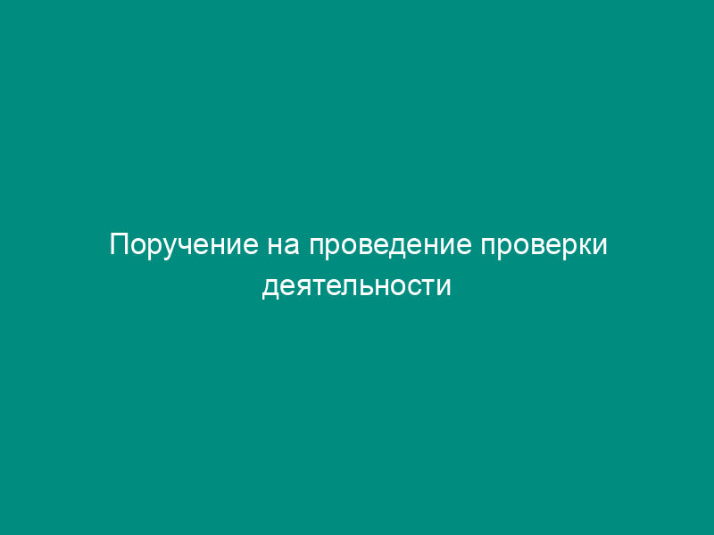 Поручение на проведение проверки деятельности конкурсного управляющего (ликвидатора) кредитной организации