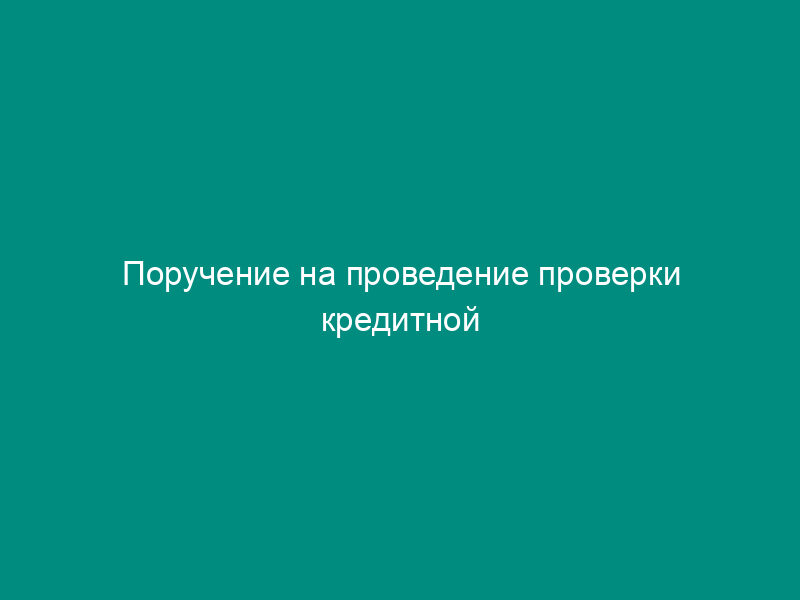Поручение на проведение проверки кредитной организации (ее филиала)