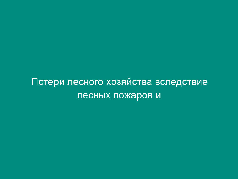 Потери лесного хозяйства вследствие лесных пожаров и расходы по тушению лесных пожаров. Форма N 9-ОИП