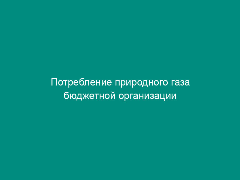 Потребление природного газа бюджетной организации комплекса социальной сферы города Москвы с объемом энергопотребления свыше 1 тыс. т у.т. Форма N 6
