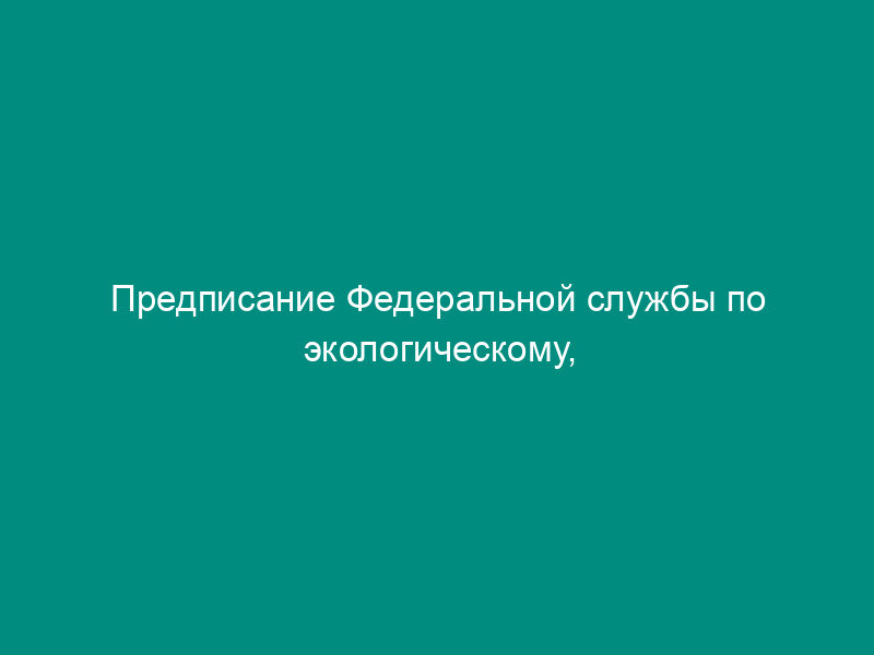 Предписание Федеральной службы по экологическому, технологическому и атомному надзору по результатам проверки соблюдения требований пожарной безопасности (образец)