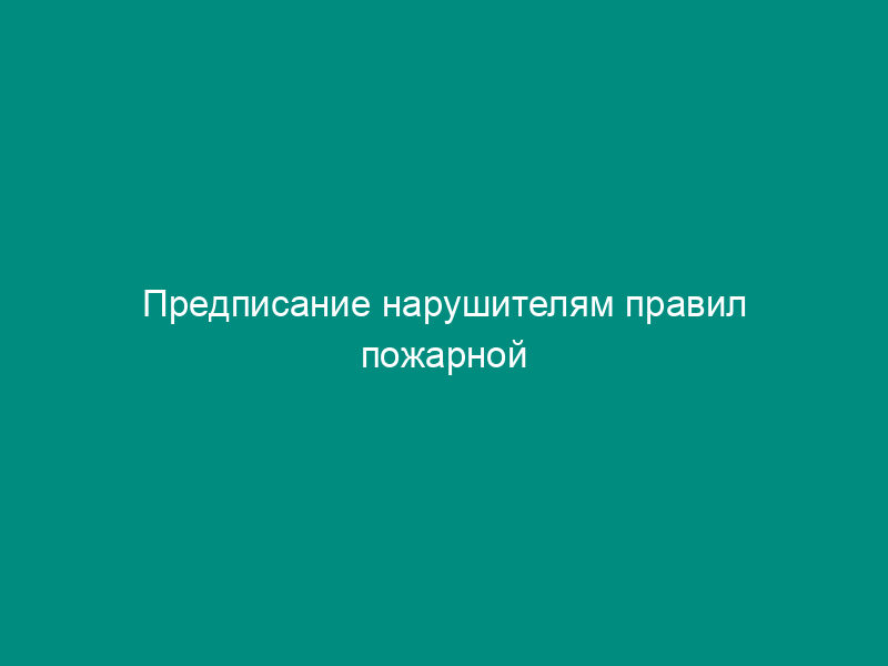 Предписание нарушителям правил пожарной безопасности в лесах Российской Федерации, обнаруженным при авиационной охране лесов. Форма N 7