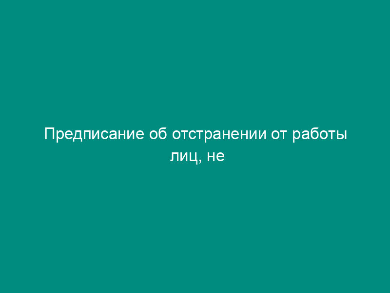 Предписание об отстранении от работы лиц, не прошедших обучение, инструктаж, стажировку на рабочем месте и проверку знаний требований охраны труда. Форма N 14-ГИТ
