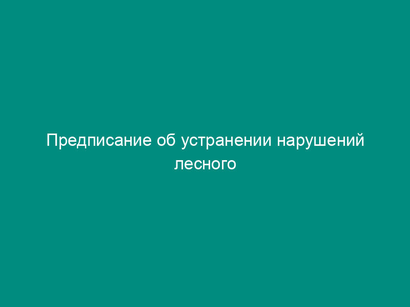 Предписание об устранении нарушений лесного законодательства, выявленных в результате проверки Федеральной службой по надзору в сфере природопользования