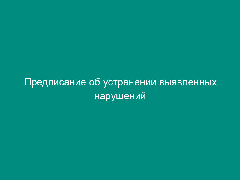 Предписание об устранении выявленных нарушений нормативных правовых актов и технических норм в области обеспечения безопасности дорожного движения.