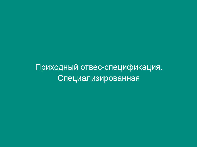 Приходный отвес-спецификация. Специализированная форма N 19-ОТ