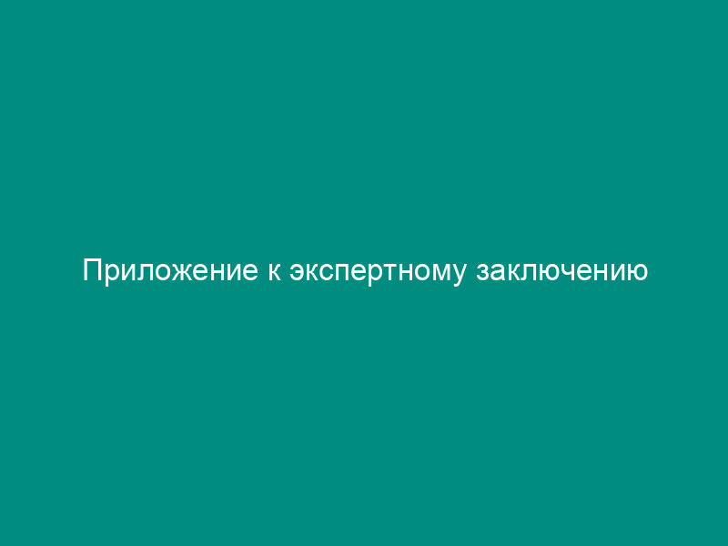 Приложение к экспертному заключению