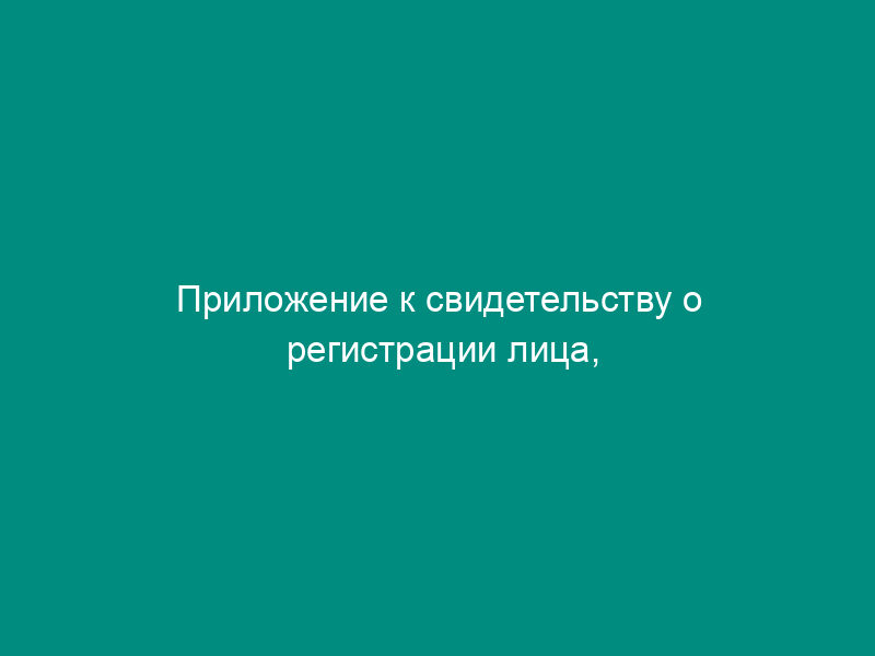 Приложение к свидетельству о регистрации лица, осуществляющего производство прямогонного бензина