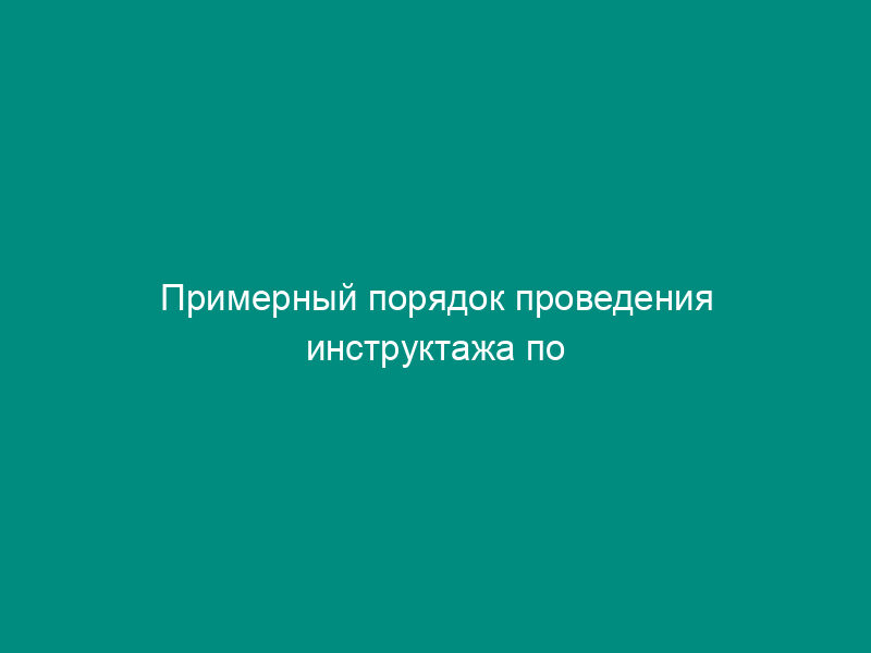 Примерный порядок проведения инструктажа по применению средств индивидуальной защиты (кроме специальной одежды и специальной обуви) для работников железных дорог
