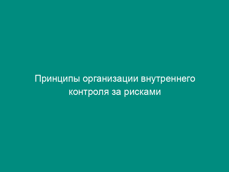 Принципы организации внутреннего контроля за рисками банковской деятельности (приложение к положению о службе внутреннего контроля)