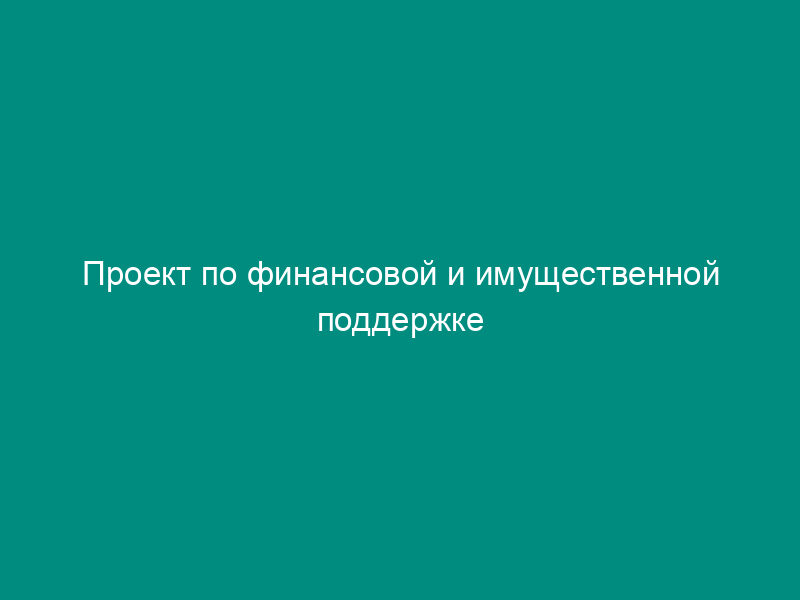 Проект по финансовой и имущественной поддержке малого предпринимательства