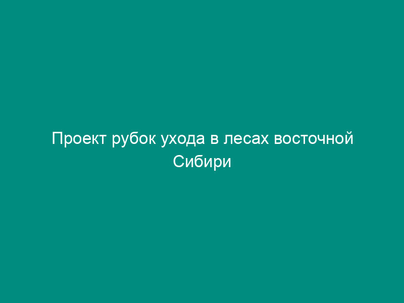 Проект рубок ухода в лесах восточной Сибири