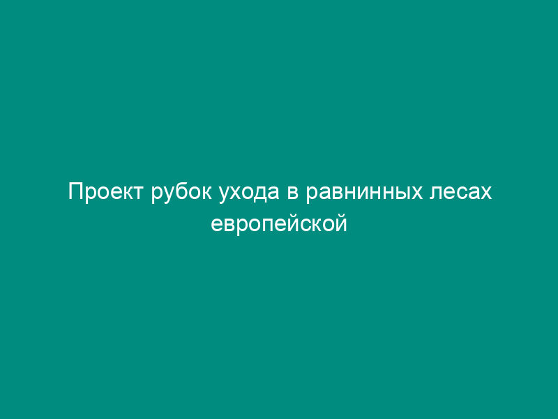 Проект рубок ухода в равнинных лесах европейской части России