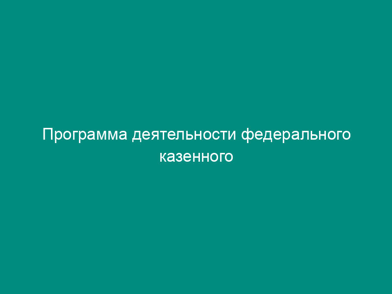 Программа деятельности федерального казенного предприятия