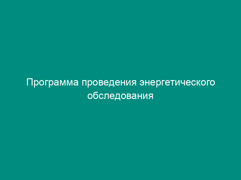 Программа проведения энергетического обследования тепловых электрических станций для АО-ТЭС